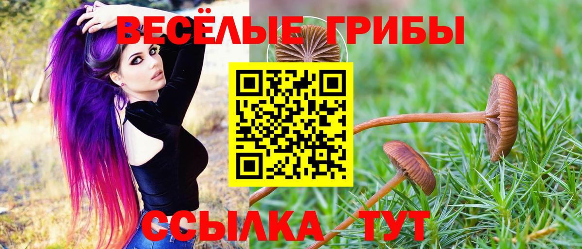 Галлюциногенные грибы Psilocybine cubensis  закладки  Троицк  Вход с VPN 
